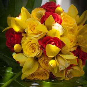 Meet your Posher, Suzanne